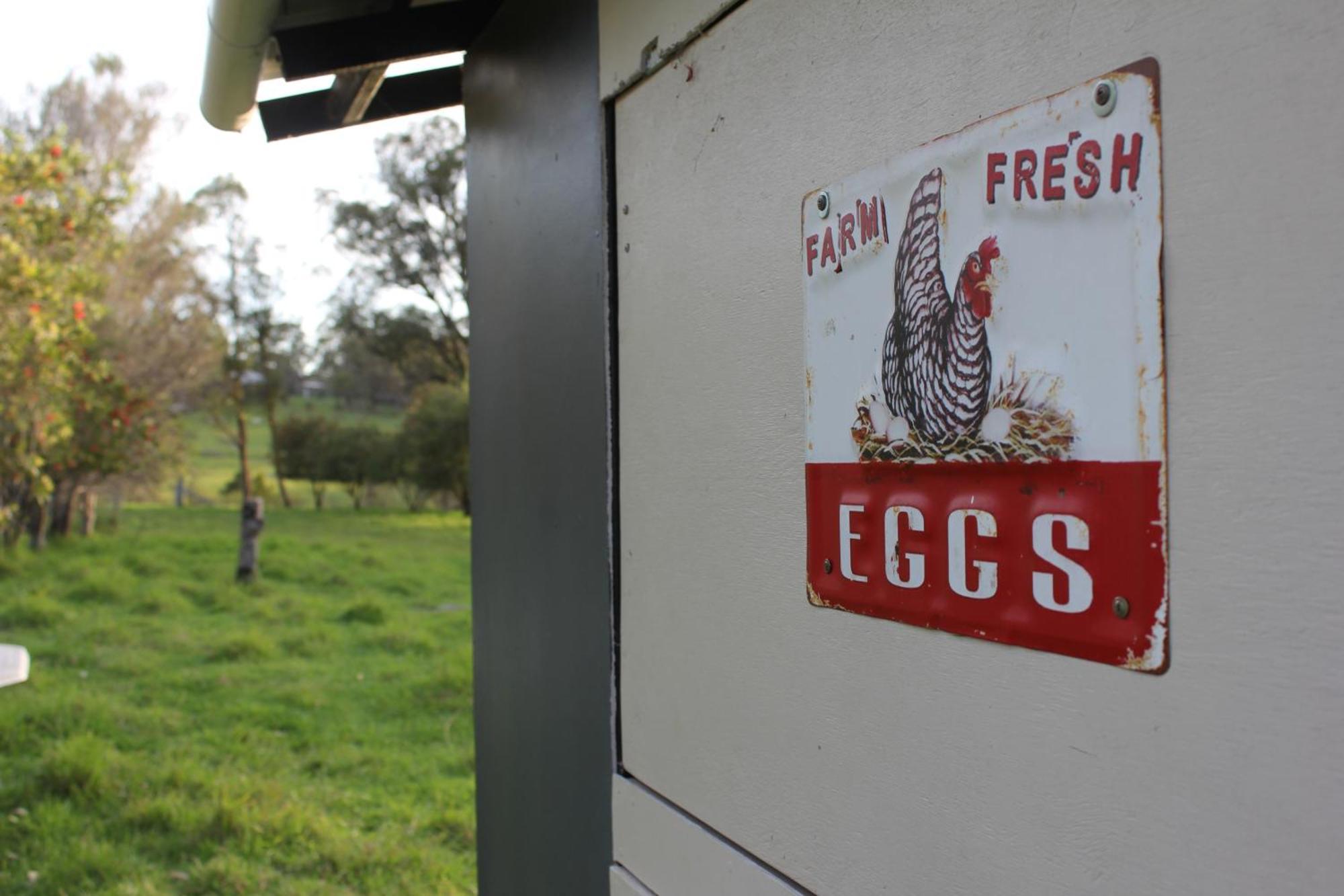 Bryn Glas Farm Stay Moruya Exterior photo