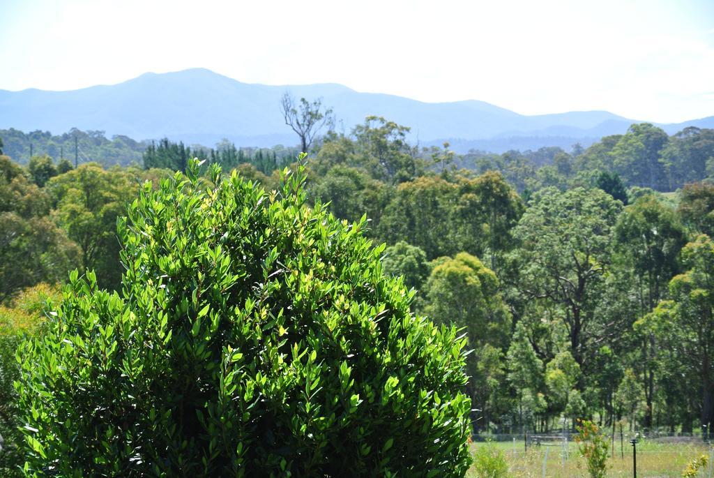 Bryn Glas Farm Stay Moruya Exterior photo