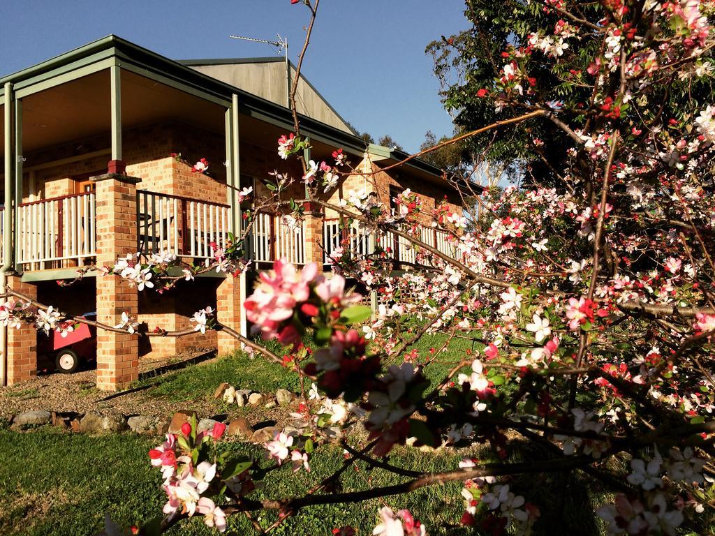 Bryn Glas Farm Stay Moruya Exterior photo