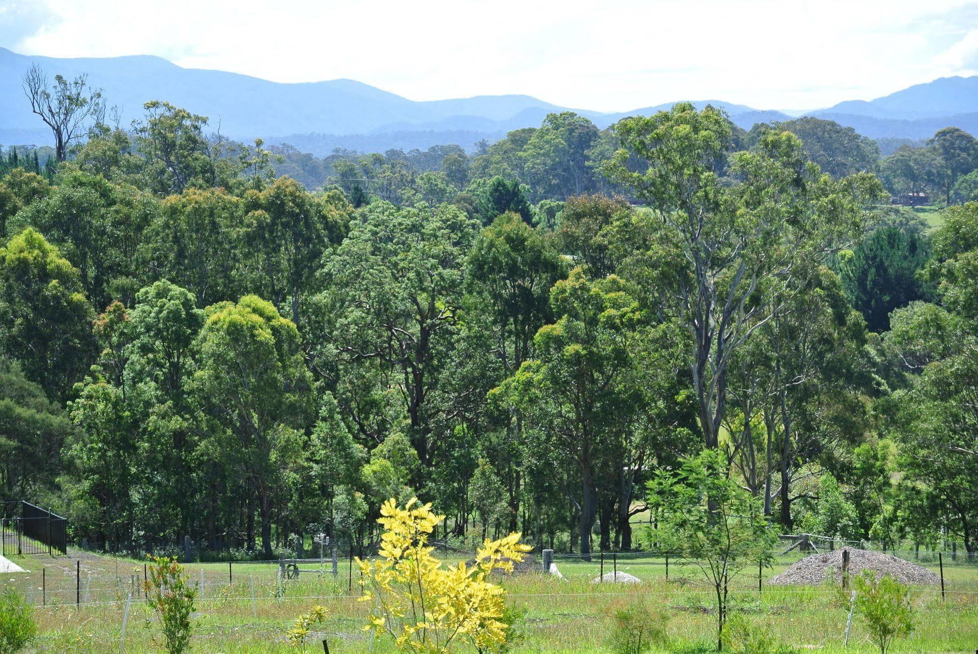 Bryn Glas Farm Stay Moruya Exterior photo