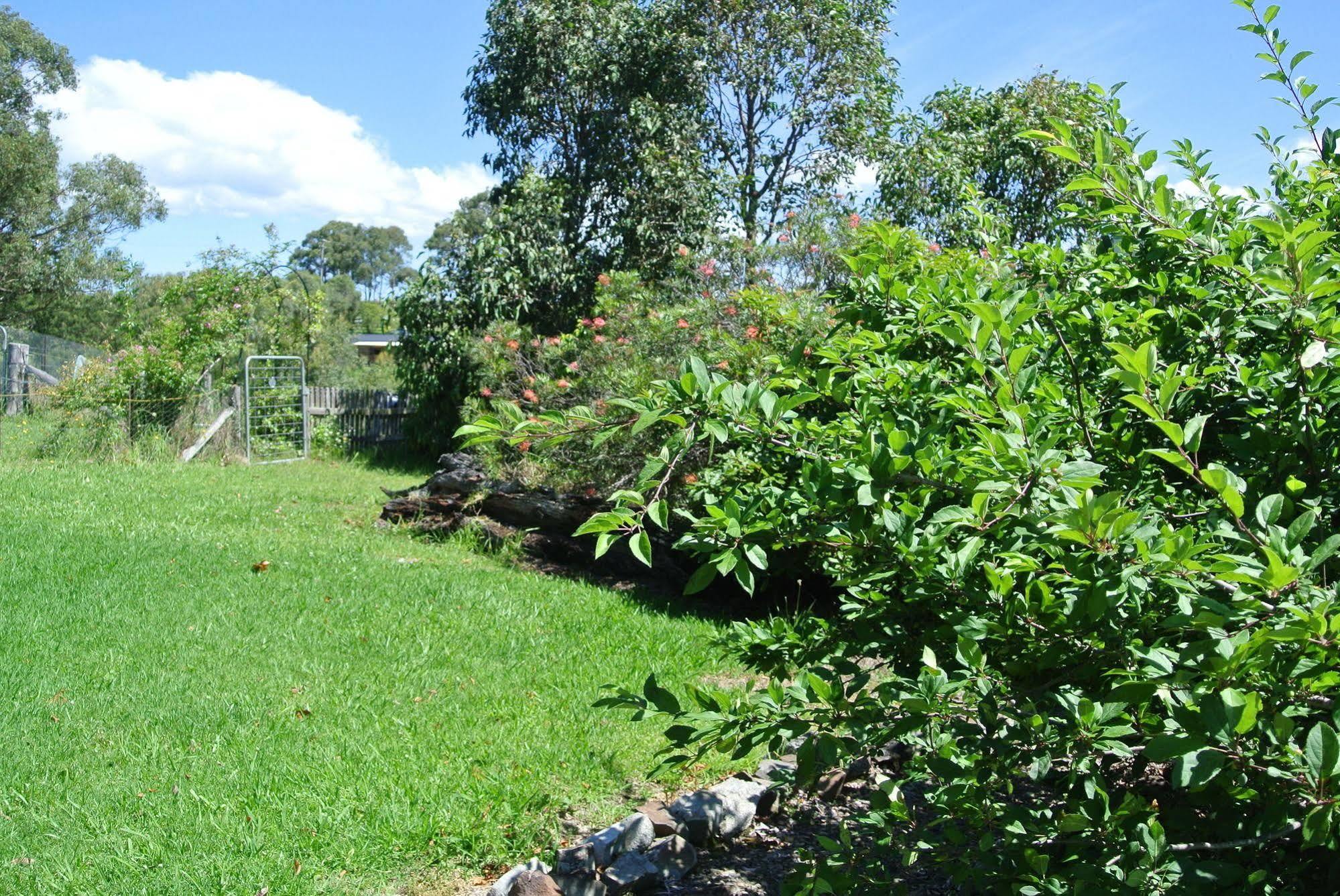 Bryn Glas Farm Stay Moruya Exterior photo