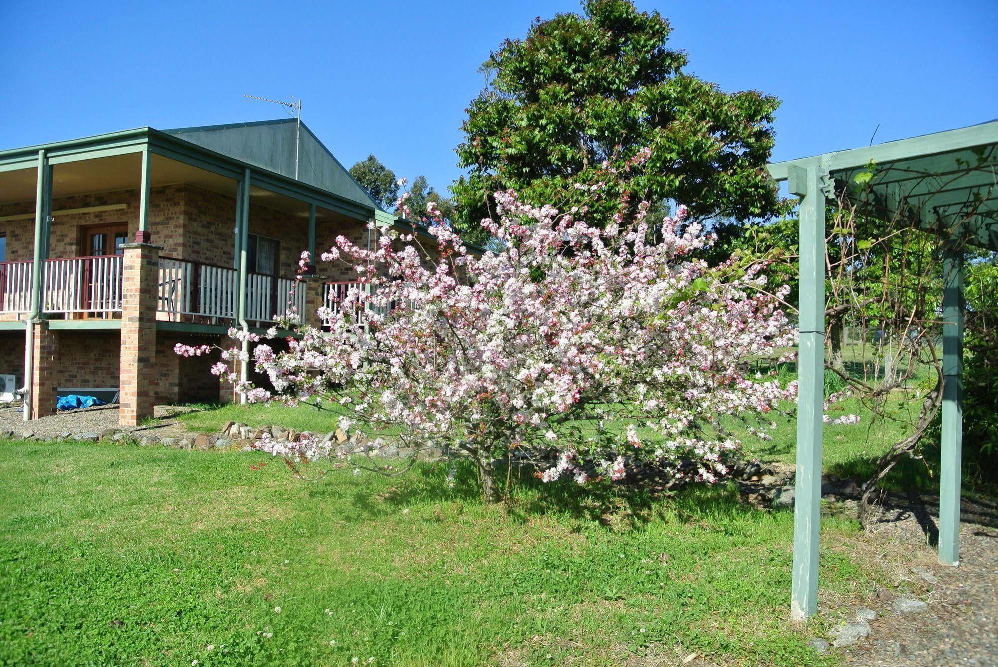 Bryn Glas Farm Stay Moruya Exterior photo